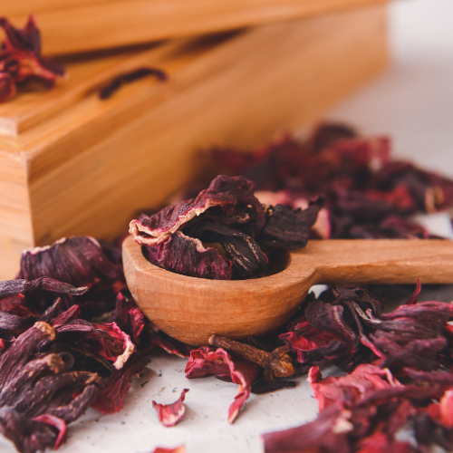 FLEURS d’HIbiscus