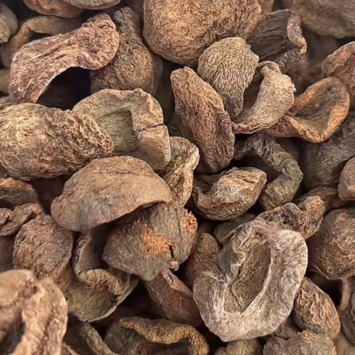 FRUIT LAKOTA
