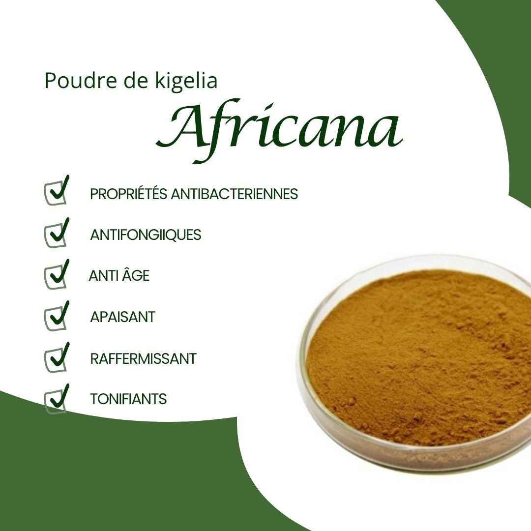 POUDRE DE KIGELIA AFRICANA