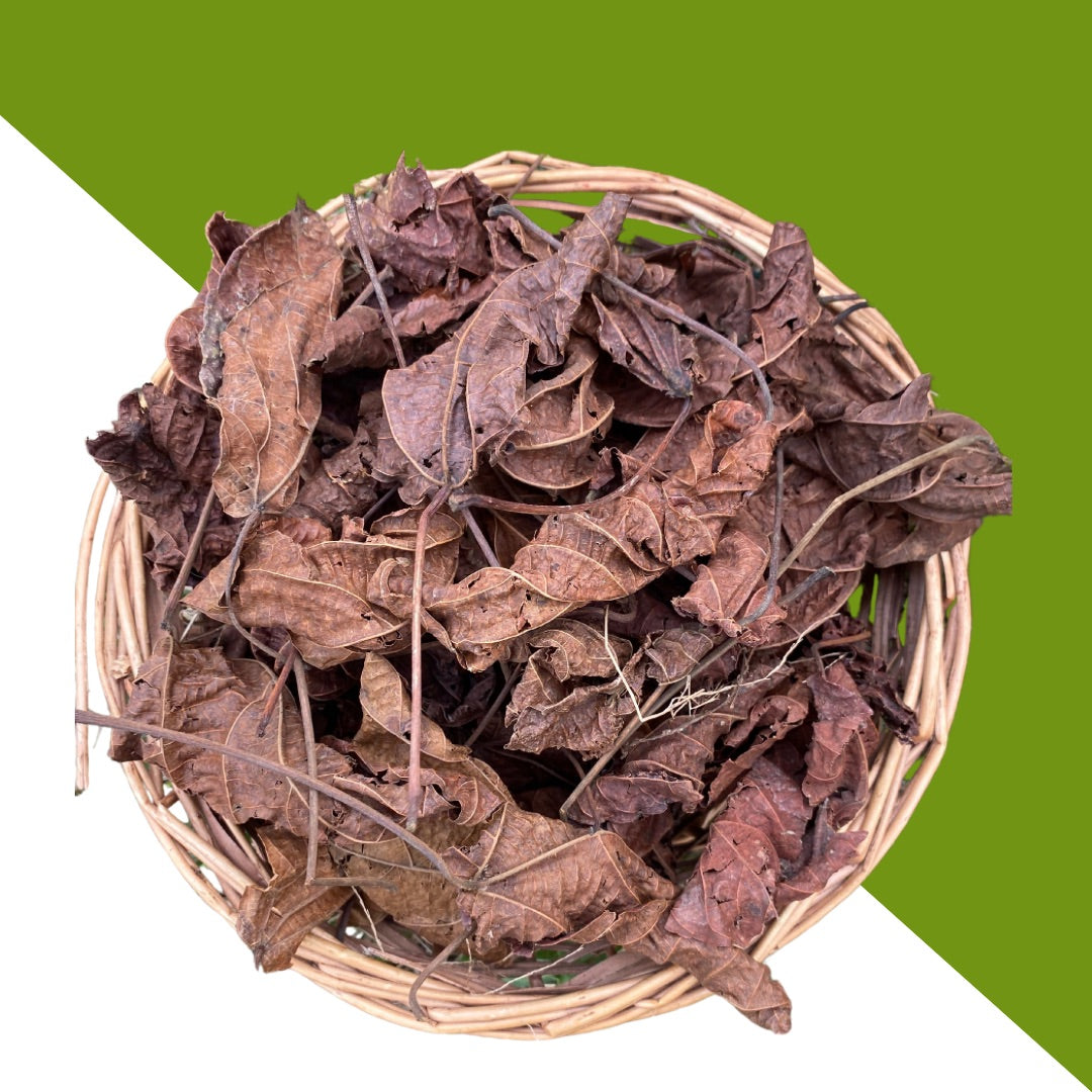 Djéka - Feuilles séchées en vrac